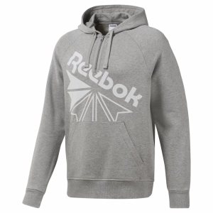 Reebok Classic Graphic Half-Zip Kapuzenpullover Herren - Grau - DE 813-VTL